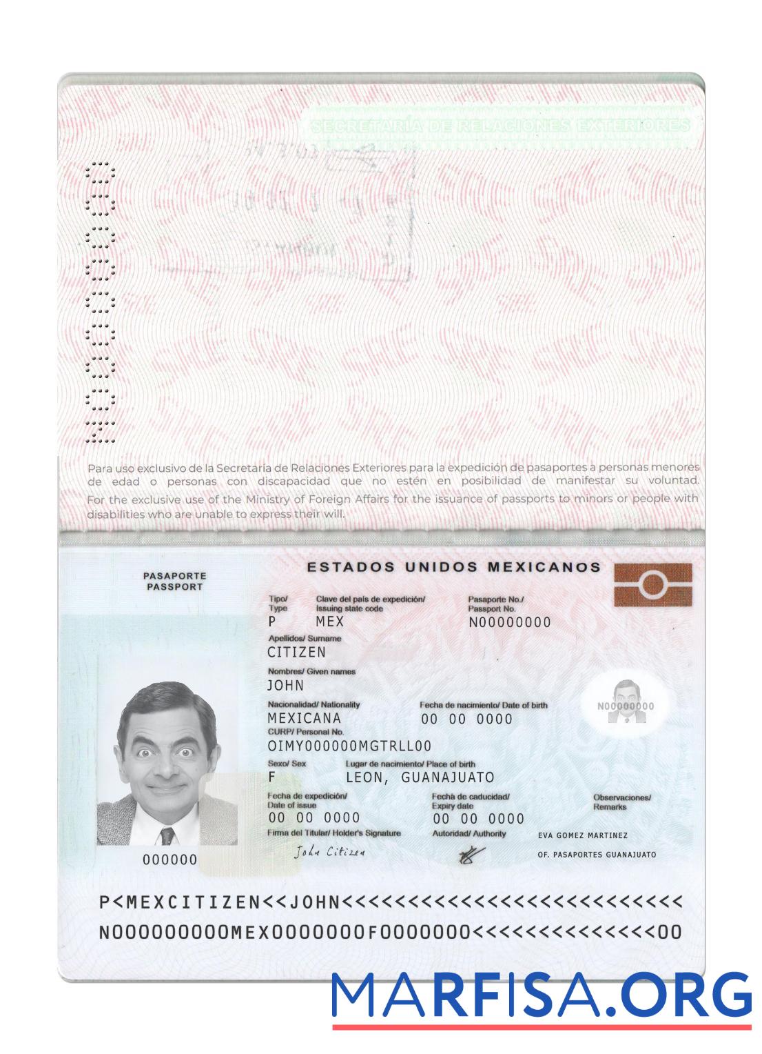 Realistic Mexico passport new 2022 present download for verification